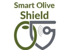 OliveShield για την ελιά – Ένωση Αγρινίου:  ερευνητικό έργo για την έγκαιρη διάγνωση και ολοκληρωμένη αντιμετώπιση γλοιοσπορίου και αλτερναρίωσης 