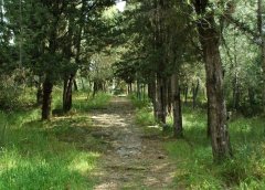 Απαγόρευση κυκλοφορίας στο Δασύλλιο Αγίου Χριστοφόρου και σε δασικές και ευαίσθητες περιοχές του Δήμου Αγρινίου